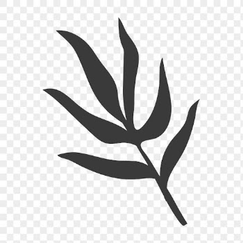 Leaf png sticker on transparent | Free PNG - rawpixel