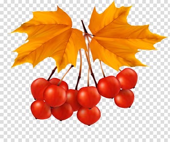 Leaf Portable Network Graphics Autumn Leaves, autumn leaves transparent background PNG clipart