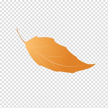 Leaf Portable Network Graphics Autumn Leaves JPEG File format, leaf transparent background PNG clipart