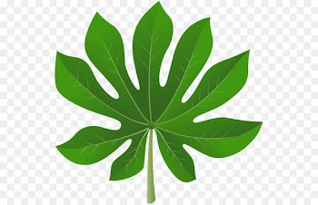 Leaf Portable Network Graphics Clip art Image Openclipart - poinsettias pennant 
