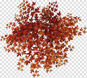 Leaf Portable Network Graphics Painting , Leaf transparent background PNG clipart
