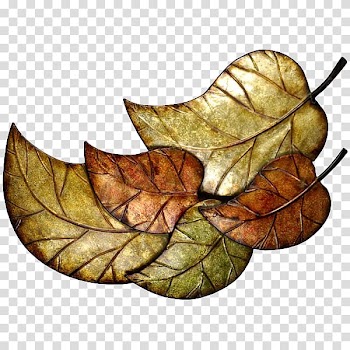 Leaf RGB color model, Leaf transparent background PNG clipart