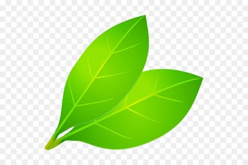 Leaf Root Water Fertilisers Health -  