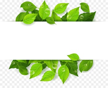 Leaf Royalty-free Illustration - Green leaves Vector Free text input box to pull the material 