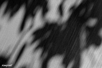Leaf shadows on a cement background illustration | Free  illustration - 2338574