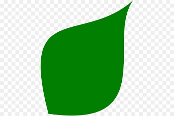 Leaf shape Leaf shape Green Clip art - Green Shape Cliparts 