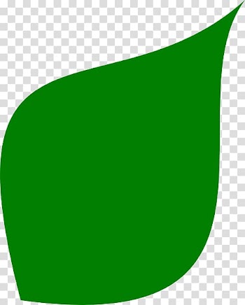 Leaf shape Leaf shape Green , Green Shape transparent background PNG clipart