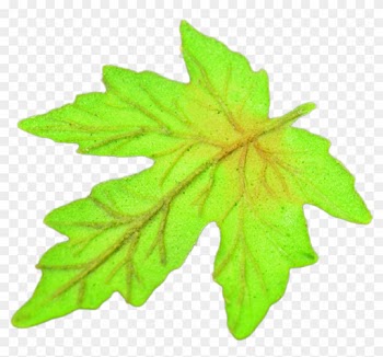 Leaf Shaped Wafer - Maple Leaf