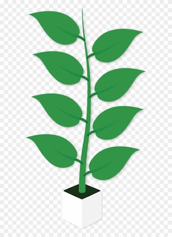 Leaf Sidebar - Leaf
