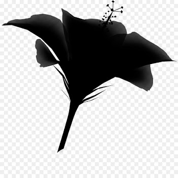 Leaf Silhouette -  