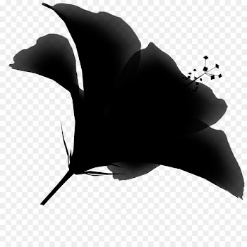 Leaf Silhouette Black M -  