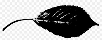 Leaf Silhouette - Leaf Silhouette Hd
