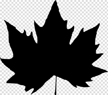 Leaf Silhouette png - Free PNG Images | TOPpng