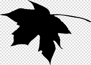 Leaf Silhouette png - Free PNG Images | TOPpng