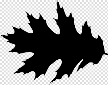 Leaf Silhouette png - Free PNG Images | TOPpng