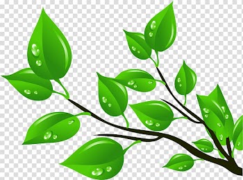 Leaf , skunk transparent background PNG clipart
