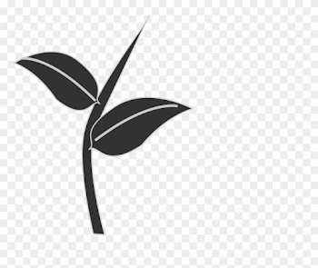 Leaf Stem Clipart Leaves Plant Stem Free Vector Graphic - Stem And Leaf Vector