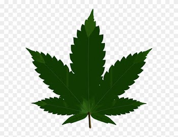 Leaf-svg Clip Art - Weed Png