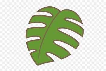 Leaf Swiss cheese plant Illustration Graphics Text - leaf 
