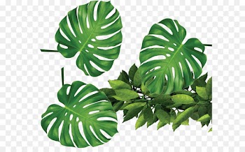 Leaf Template Rxe9sumxe9 Clip art - Tropical plants green leaves 