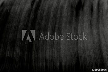 Leaf texture background