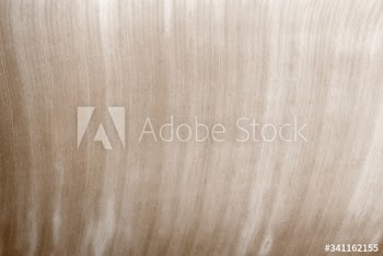 Leaf texture background