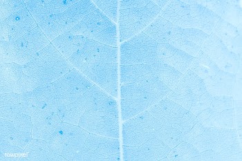 Leaf textured light blue background | Free  illustration - 2341886