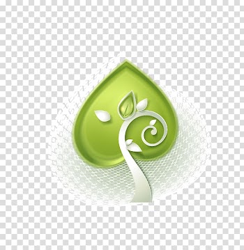 Leaf transparent background PNG clipart