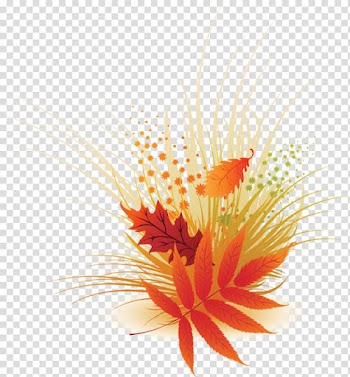 Leaf transparent background PNG clipart