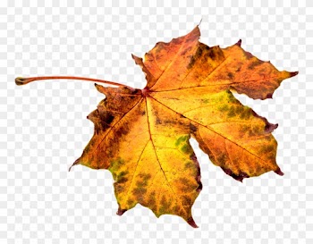 Leaf Transparent Png Sticker - Autumn Leaf Pixel