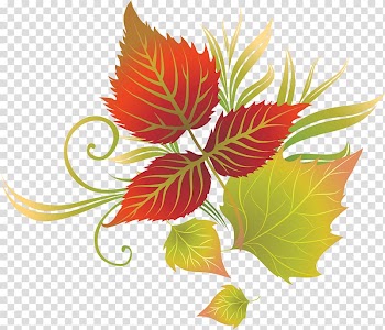 Leaf Tree Autumn Crown , Leaf transparent background PNG clipart