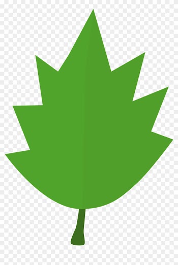 Leaf Tree Autumn Green Garden Png Image - Hojas De Otoño Verde