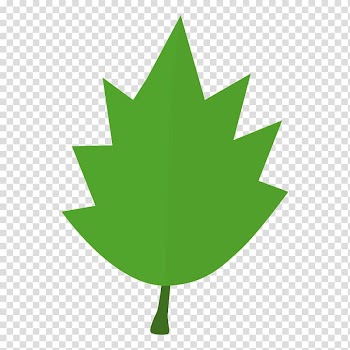Leaf Tree Autumn , green leaves transparent background PNG clipart