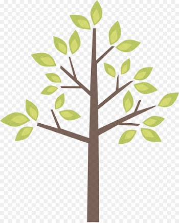 leaf tree branch plant plant stem