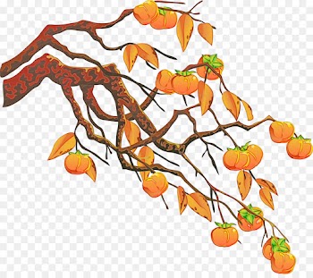 leaf tree branch plant twig