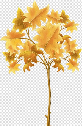 Leaf Tree Drawing , autumn leaves transparent background PNG clipart