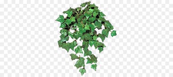 Leaf Tree - Leaf 