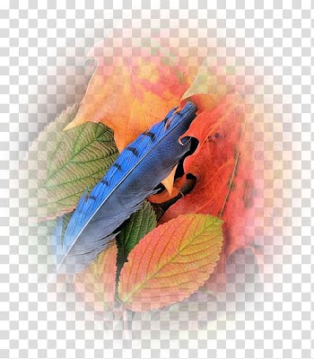 Leaf Tree , Leaf transparent background PNG clipart