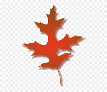 Leaf, Tree, Nature, Autumn, Color - Fall Oak Leaf Clipart