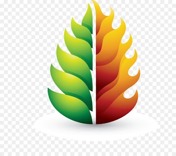 Leaf Tree Photograph Light Clip art -  