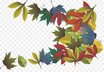 leaf tree plant woody plant sweet gum