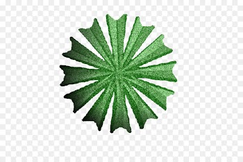 Leaf Tree - tree plan 