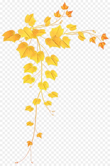 leaf tree yellow plant woody plant