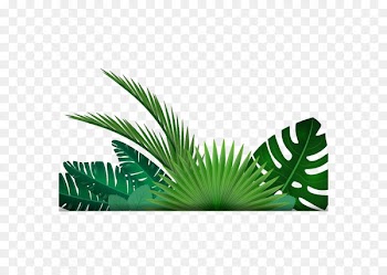 Leaf Tropics Clip art - Banana leaf background 