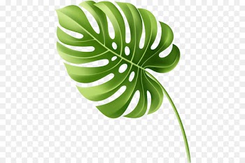 Leaf Tropics - Leaf 