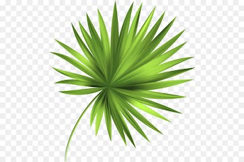 Leaf Tropics - Leaf 