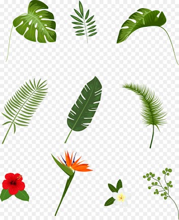 Leaf Tropics Plant Euclidean vector - Vector hand-painted leaves 
