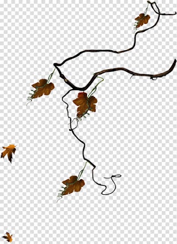 Leaf Twig , Leaf transparent background PNG clipart