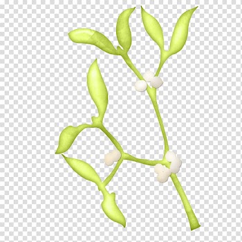 Leaf Twig , Leaves free transparent background PNG clipart