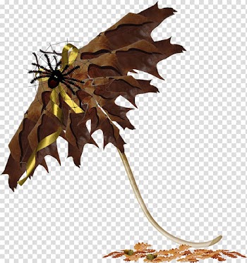 Leaf Umbrella Encapsulated PostScript, root transparent background PNG clipart